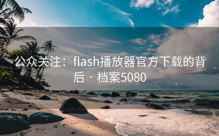 公众关注：flash播放器官方下载的背后 · 档案5080