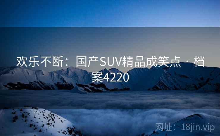 欢乐不断：国产SUV精品成笑点 · 档案4220