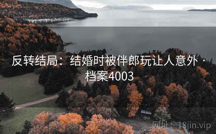 反转结局:结婚时被伴郎玩让人意外 · 档案4003 反转结局:结婚时被伴郎玩让人意外 · 档案4003